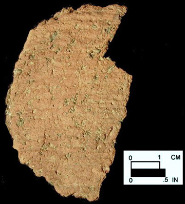 Dames Quarter exterior surface of body sherd from a Maryland unprovenienced site.